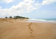 Lagoon Paradise Beach Resort