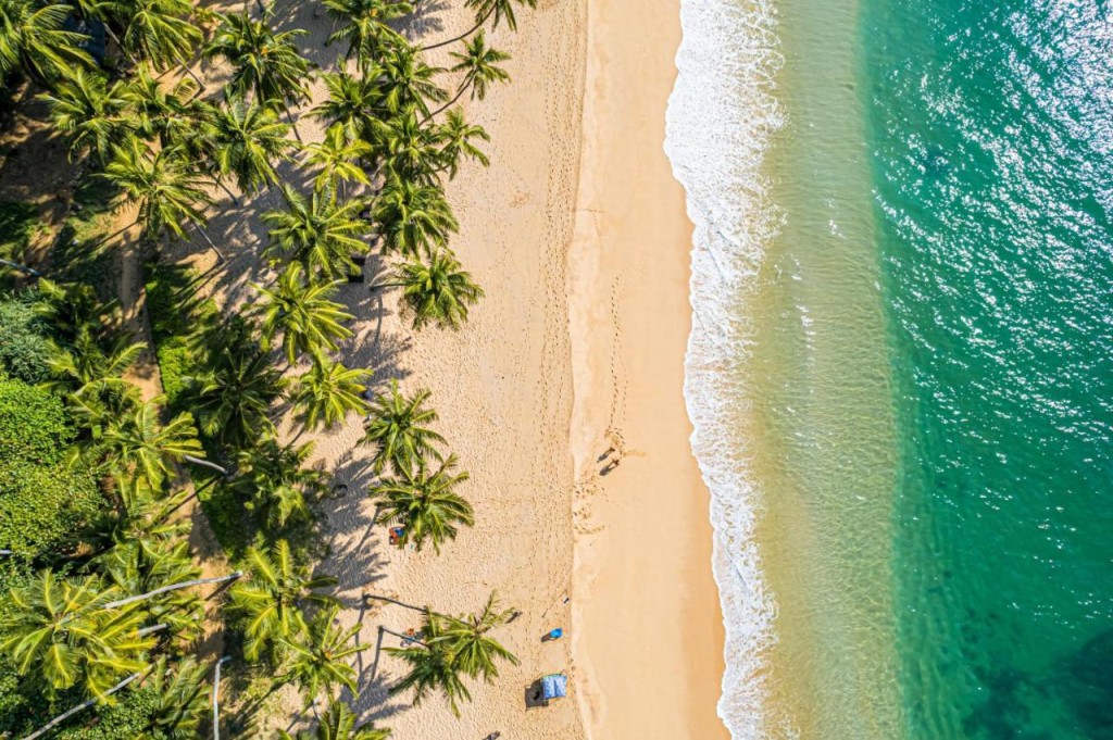Mayavee Resort and Spa