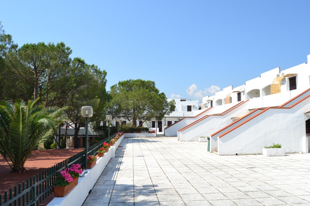 Estella Club