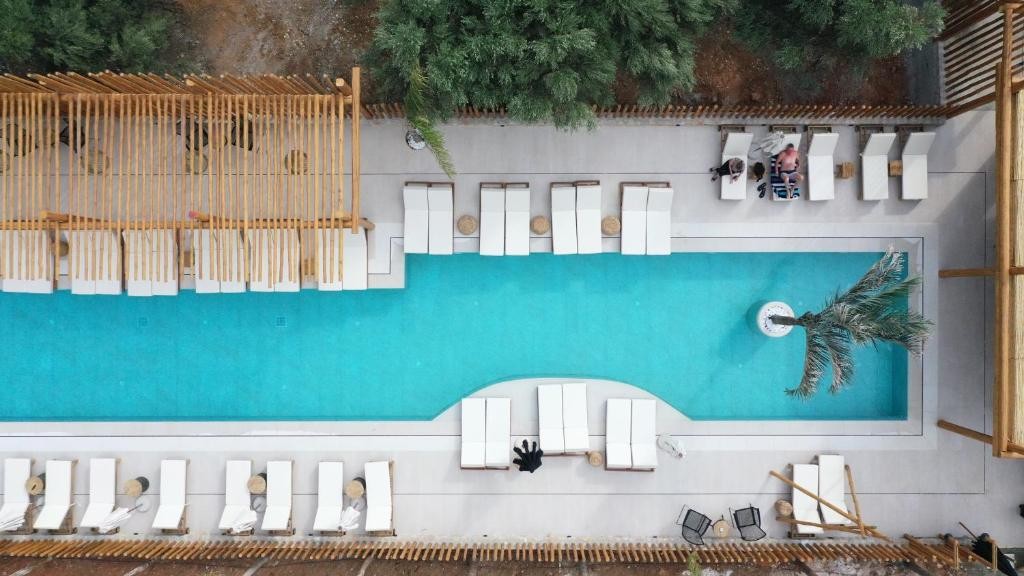 Indigo Inn Casa (Adults Only +14y.o.)