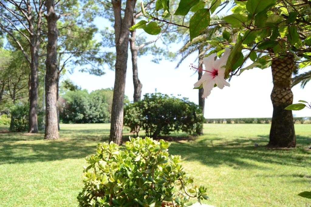 ESTELLA CLUB VILLAGE - MONTEPAONE LIDO