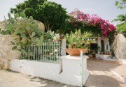 Gorgona Studios Faliraki