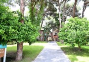 PINE BEACH BELEK