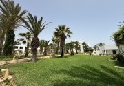 PALM AZUR