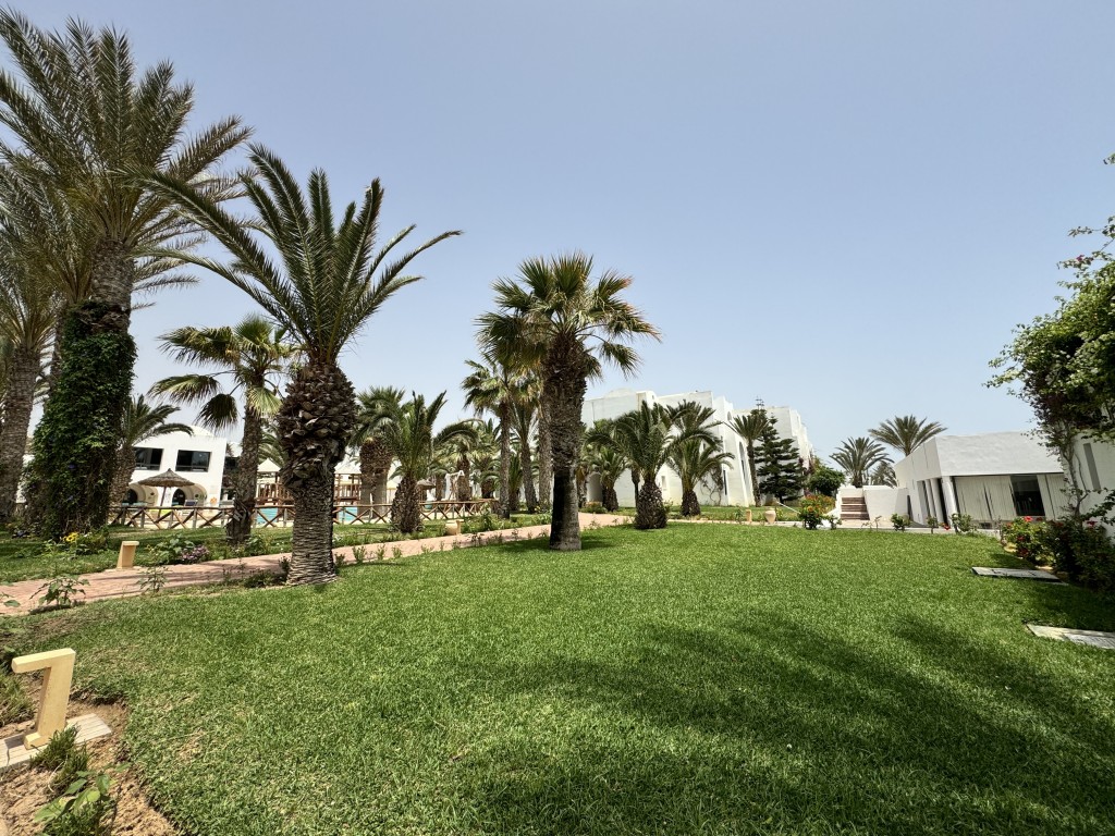PALM AZUR