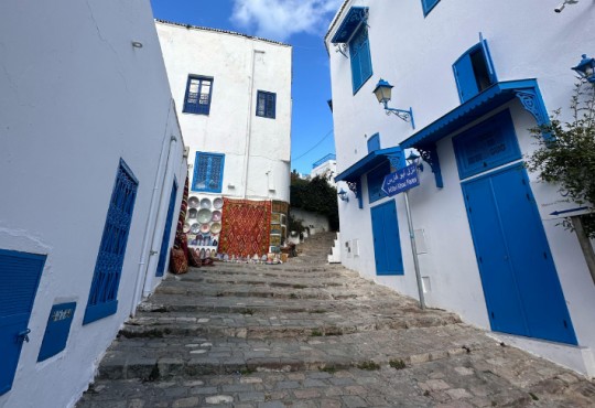 Чартър до Тунис Енфида от Пловдив