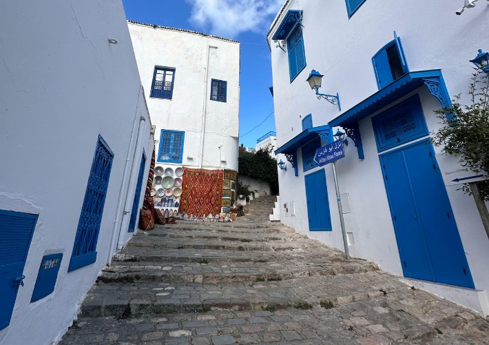 Чартър до Тунис Енфида от Пловдив