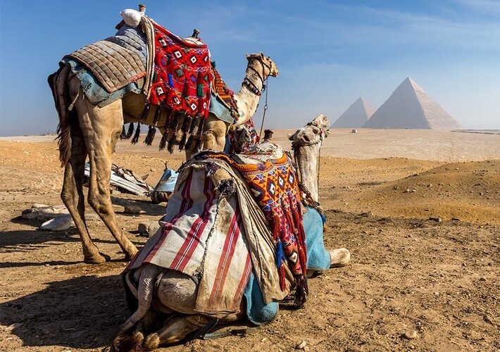 Коледа  в Кайро и Хургада